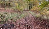 Trail Nordic walking Florenville - Herbeument 9km heen en terug  - Photo 2