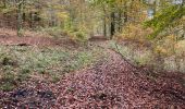 Randonnée Marche nordique Florenville - Herbeument 9km heen en terug  - Photo 2