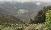 Excursión Senderismo Banyuls-sur-Mer - Col Banuyls  - Photo 15