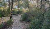 Tocht Stappen Gémenos - Coulin, Mont Cruvelier, Sommet de Bigou - Photo 9