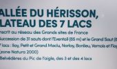 Percorso Marcia Le Frasnois - Cascades du Hérisson et les 4 lacs  - Photo 9