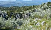 Tour Wandern Gréolières - Gréolières les Neiges - Collet de Barri- Cime du Cheiron - Croix de Verse - Combe d'Henry - Photo 1