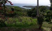 Tocht Stappen La Trinité - La Breche Granjean-Morne Pavillon en boucle  - Photo 3