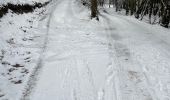 Trail Walking Stoumont -  Neucy , bergerie de la Lienne 13 Km - Photo 8