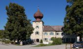 Tour Zu Fuß Kleinzell im Mühlkreis - Kohlstättenweg - Photo 4