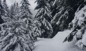 Tocht Sneeuwschoenen Champagny-en-Vanoise - pralongnan - Photo 8