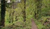 Trail Walking Le Puy-en-Velay - [01] Compostelle : du Puy-en-Velay à Saint-Privat-d'Allier - Photo 7