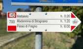 Percorso A piedi Felino - Felino - Langhirano - Traversetolo - Guardasone - La Guardiola - Costa di Bazzano - Pieve di Bazzano - Photo 8