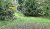 Randonnée Marche La Combe-de-Lancey - Col du Pré du Molard - Photo 12