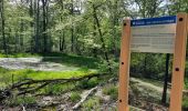 Trail Walking Piney - sentier du colosse d'argile - Photo 3