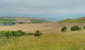 Tocht Stappen Sangatte - CANI-RADO TOUR (boucle Cap Blanc nez) - Photo 1