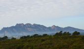 Tour Wandern Puget-sur-Argens - Puget-sur-Argens - Les Terres Gastes - Photo 6