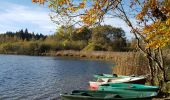 Tour Wandern Bonlieu - lac de bonlieu et belvédère - Photo 2