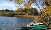 Tocht Stappen Bonlieu - lac de bonlieu et belvédère - Photo 2