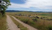 Tocht Stappen Fraissinet-de-Fourques - 48  sommet du Gargo 13/07/24 - Photo 1