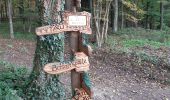 Tocht Te voet Tieschen - Hügelgräberweg - Photo 8