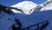 Percorso Sci alpinismo Santo Stefano di Tinia - Mont Triboulet et Mont Rion - Photo 5