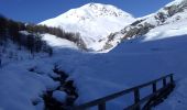 Tour Skiwanderen Saint-Étienne-de-Tinée - Mont Triboulet et Mont Rion - Photo 5