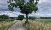 Randonnée Marche Somme-Leuze - Noiseux Ecole- citée des castors - Photo 6