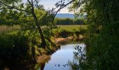 Trail On foot Unknown - Hügelland-Weg - Photo 1