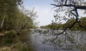 Trail Walking Guémené-Penfao - l'etang de la ro je marsac 100418 - Photo 3