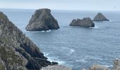 Tour Wandern Camaret-sur-Mer - Les pointes de Pen Hir et grand Gouin - Photo 2