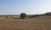 Tocht Stappen Doische - Balade à Romerée - Photo 5