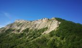 Randonnée Marche Montauban-sur-l'Ouvèze - Montagne de Chamouse - Photo 6