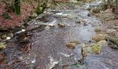 Tocht Stappen Eupen - balade entre fagnes et forêt  - Photo 2