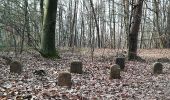 Excursión A pie Alzenau - Schwarzer Keiler, Rundwanderweg Alzenau - Wanderparkplatz Mühlmark - Photo 6