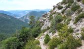 Randonnée Marche Die - Diois - Abbaye de Valcroissant - Forêt de Justin Jul20 - Photo 10