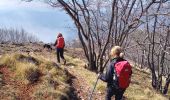 Tocht Stappen Peille - Cime de Baudon - Photo 1