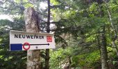 Trail Walking Rimbach-près-Masevaux - Haute Bers - Photo 15