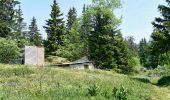 Tour Wandern Saint-Agnan-en-Vercors - Les Rancs de Charles - Vercors - La Coche - Photo 4