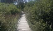 Tour Wandern Weismes - mont rigi . pont de beleu . botrange . baraque michel . mont rigi - Photo 16