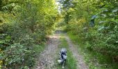 Tour Wandern Neufchâteau - Tronquoy - Respelt - Photo 14