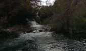 Tocht Stappen Unknown - Lacs de Plitvice  - Photo 8