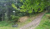 Tocht Mountainbike Seyssins - Les Hauts du Peuil en VTTAE  - Photo 5