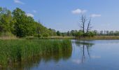 Tocht Te voet Malschwitz - Malešecy - Naturerlebnispfad „Guttauer Teiche & Olbasee