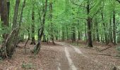 Randonnée Marche Mettet - Devant les bois, Sart Eustache, Biesme - Photo 12