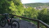 Trail Mountain bike Esneux - 20200520 Fechereux Ham Avionpuits Betgné Hayen  - Photo 2