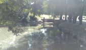 Tour Wandern Fonsomme - Fonsomme  - Photo 1