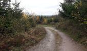Trail Walking La Roche-en-Ardenne - Samree 131120 - Photo 4