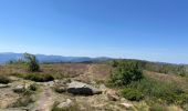 Trail Walking Soultzeren - Tanet-Gazon du Fain-Tanet - Photo 5