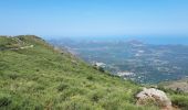 Tour Wandern Vallica - Vallica col de Battaglia pioggiola omni-cappela - Photo 2