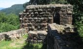 Tocht Te voet Seelbach - Seelbach Panoramawanderung - Photo 1