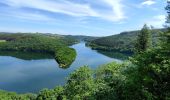 Tocht Stappen Esch-sur-Sûre - Promenade au lac de la Haute-Sûre   - Photo 8