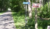 Randonnée A pied Hellendoorn - WNW Twente - Marle/Schuilenburg - blauwe route - Photo 6