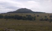 Tour Wandern Le Béage - suc du montfol et lauzière - Photo 4