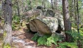 Tocht Stappen Fontainebleau - Fontainebleau sentier Denecourt 7-8 8-8 - Photo 10